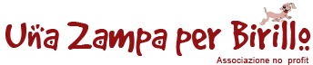 Una Zampa per Birillo — Associazione no profit